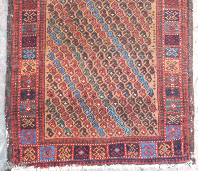 Antique Baluch Rug                              