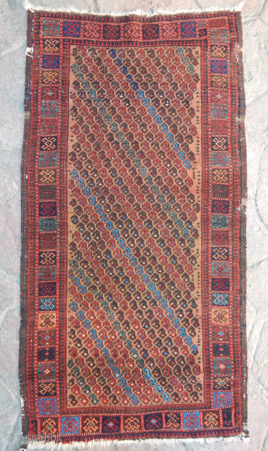 Antique Baluch Rug                              