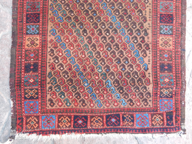 Antique Baluch Rug