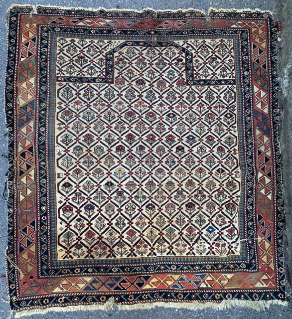 Antique marasali şirvan rug