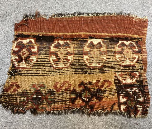 Anatolian Fragment contact at directly rugbjk1903@gmail.com