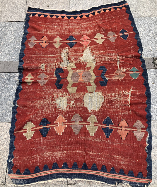 Yüncü Kilim contact at directly rugbjk1903@gmail.com                           