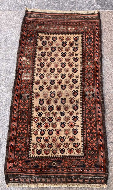Baluch Rug contact at directly rugbjk1903@gmail.com                           
