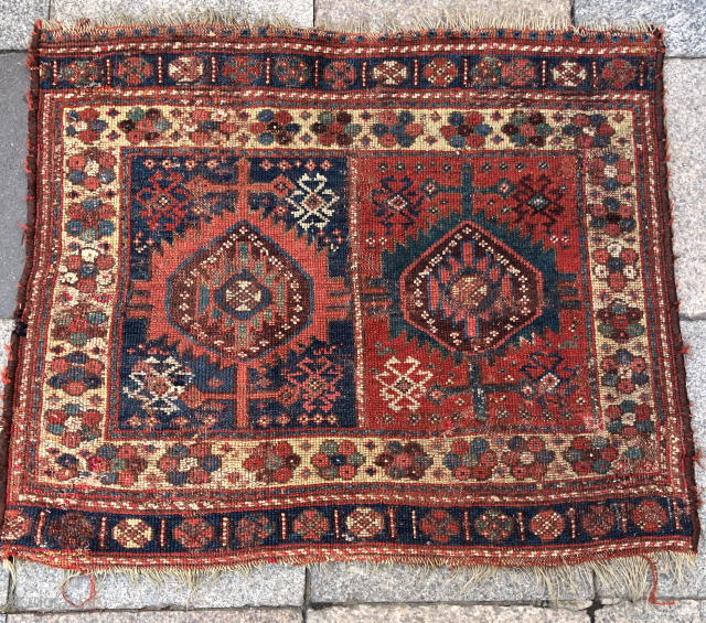 Kurdish Panel  contact at directly rugbjk1903@gmail.com                          