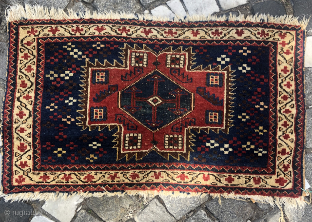 Persian Bagface contact at directly rugbjk1903@gmail.com                           