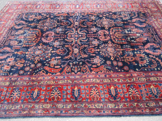 navy blue sarouk very good condition no dry rot solid rug very floppy 8' 6" x 11' 10" great wide border 1125.00 plus shipping. SOLDDDDDDDDDDDDDDDDDDDDDDDDDDDDDDDDD        