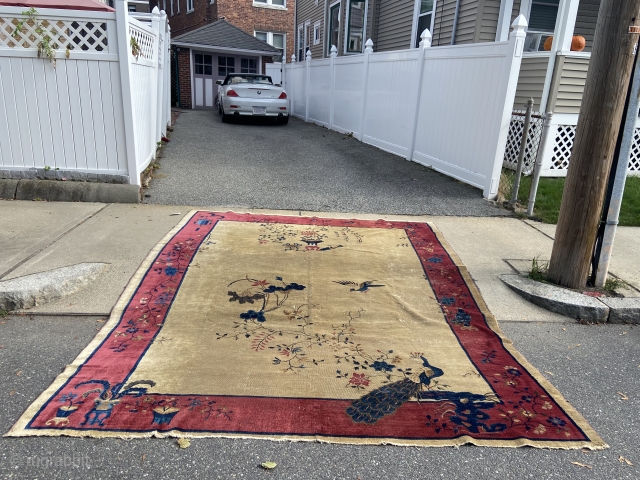 Antique Art Deco Chinese rug measuring 9’ x 11’ 4” great colors big animal peacock motif solid rug no pets and no smoke no dry rot has scatter usual wear no stain  ...