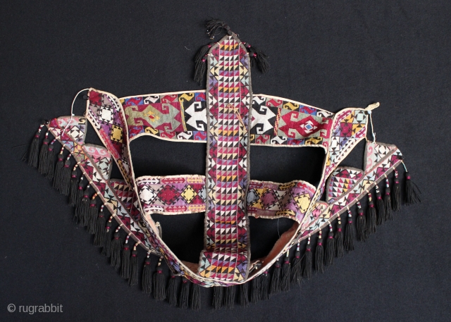 Late 19 century Uzbak Lakai Horse head dress. 
                        