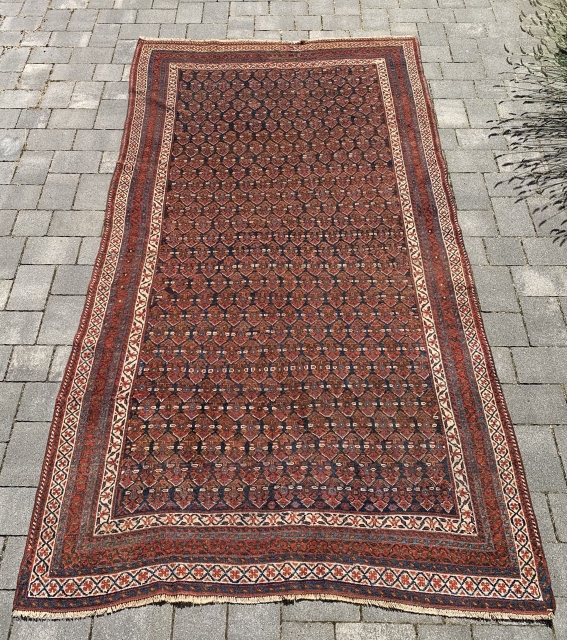 Cute Afshar rug…260 cm x 140 cm. Nice usable condition and priced to sell quick.Good colours plus sides and ends are tight.           