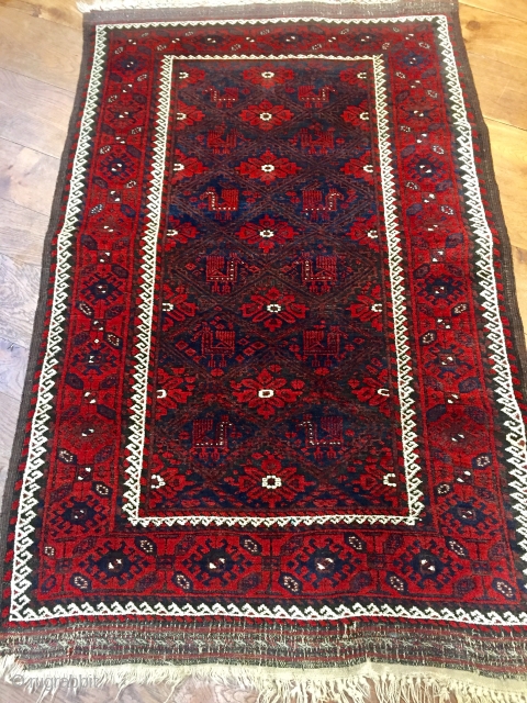 Antique Khorassan area Baluch rug with peacocks 
Ca 1900 in excellent condition no repairs all wool natural dyes original ends and sides           