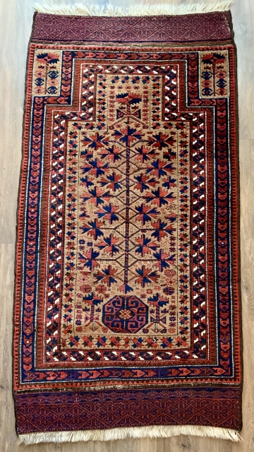Here is a lovely antique camel ground Baluch prayer rug ca 1880.   Super soft camel wool field very finely knotted  187 k p s I ( 11 horizontally 17  ...