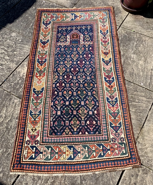  fresh in a beautiful antique Genje (?) rug ca 1880 in full pile all natural dyes including two shades of cochineal.  Beautiful piece size 177 x 87 cm   