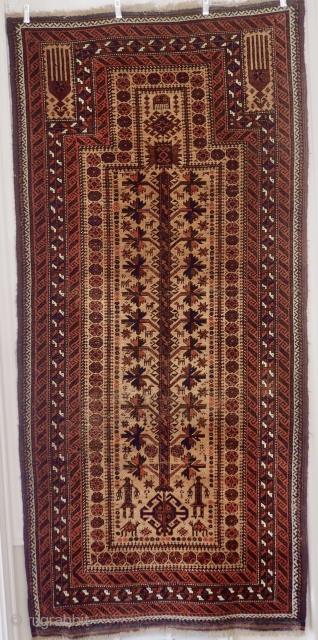 Collector/dealer Alistalifi and his brothers, based in London, have been doing great work in Afghanistan with orphaned children. As a baluch Collector, I would like to support their work, and so I  ...