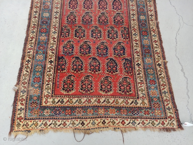 I believe this Kurd runner to be of the late 19th century. The soft rosy red background of the field and the soft light blue main border with its flanking white minor  ...