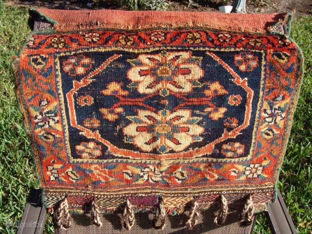 Afshar Bagface with rosettes. Beautiful rich colors! It has its original back flap. The face measures 16 by 21 inches.             