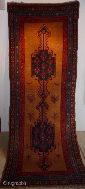 Bakshaish long rug, 9ft6ins. x 3ft8ins. Excellent condition , original sidecords and kelim ends, lovely wool and good colours.  SOLD            