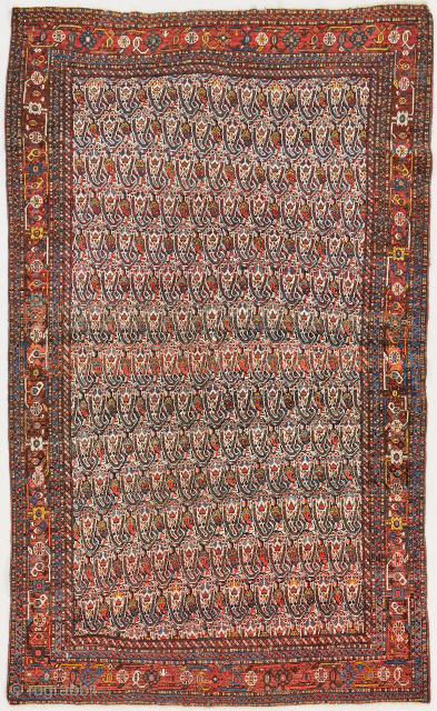 Kashguli, late 19th century. Nice paisley design and good border with nice colors. 4'7" x 6'2".                 