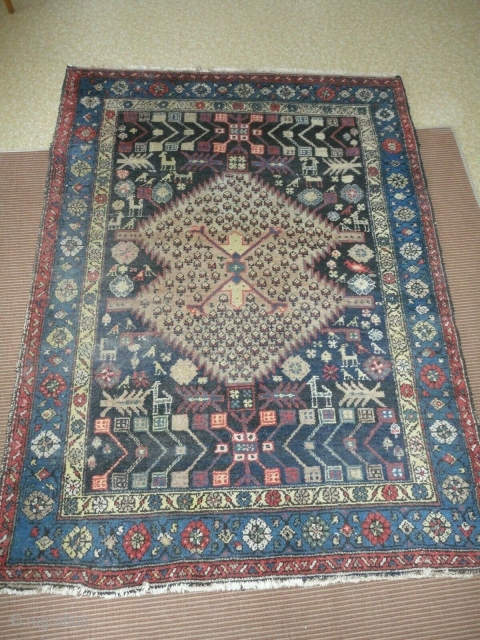 Nice Hamedan rug. 165 x 125 cm.                          