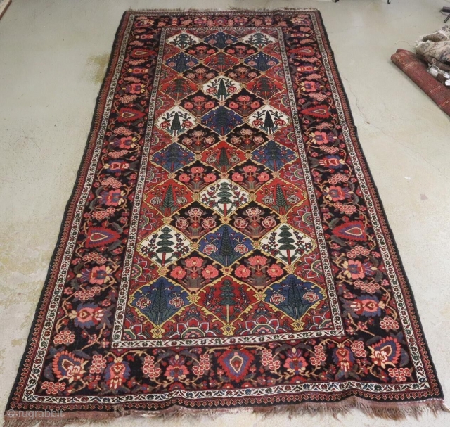 Beautiful Bakhtiari, 13' x 6'2" in size.                          