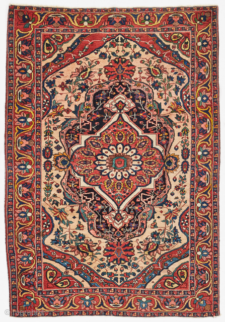 Bakhtiari 4'9" x 7'.                             