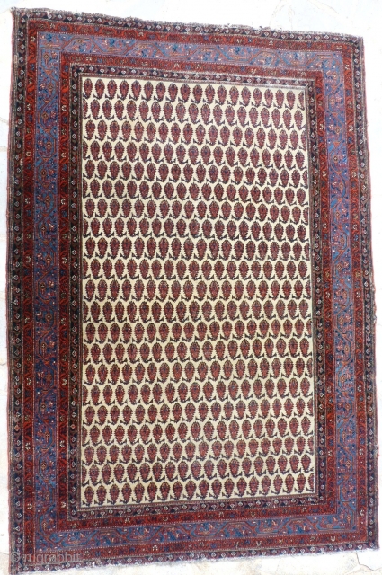 Sarababd area hamadam. End 19th century. 194 X 130 cm.                       