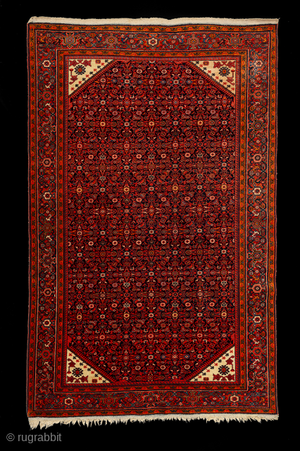 1920s Ferahan with blue wefts. Excellent condition. Original selvedges and ends. No repairs, no repiles. Solid rug. Priced to sell. 80" x 50" Contact Arto at arto@armenianrugs.com      