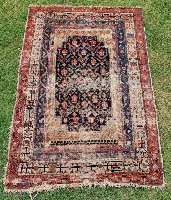 17 - North West Persian - Kurd - 145 x 237 cm
Please share any information you may have on the rug origin, age (suggested late 18c early 19c), region or details.
Contact me  ...