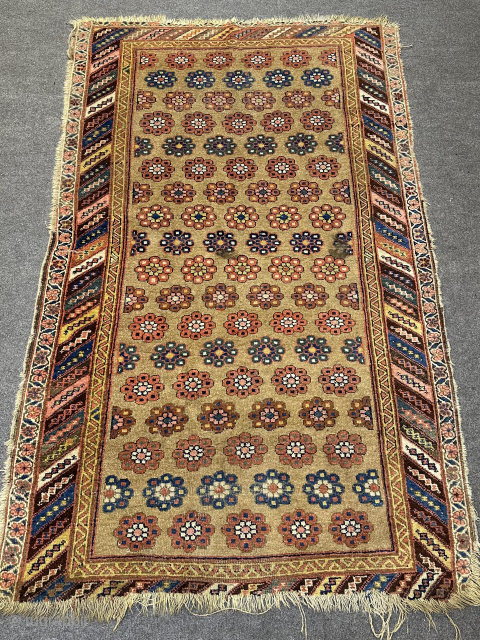 Helva'i Bidjar rug in a camel wool ground with fantastic rosettes all over. Age is about 150 years old or so. The selvedges are gone and the very outer border on the ...