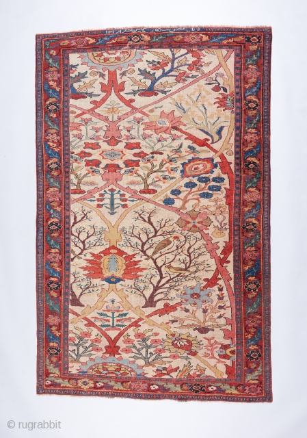 The best Bijar in all the land. Fine " halvai " weave, hot red ( who cares ) . Inscription dating it to 1900.  A painterly masterpiece. 7'2" x 4'7". Has  ...