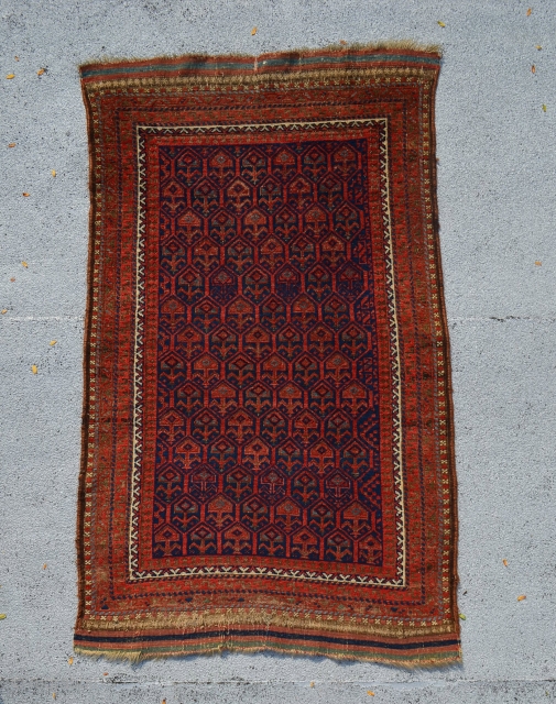 Baluch. All original except for the sides, which have new selvedges. 4'10" x 2'10".                   