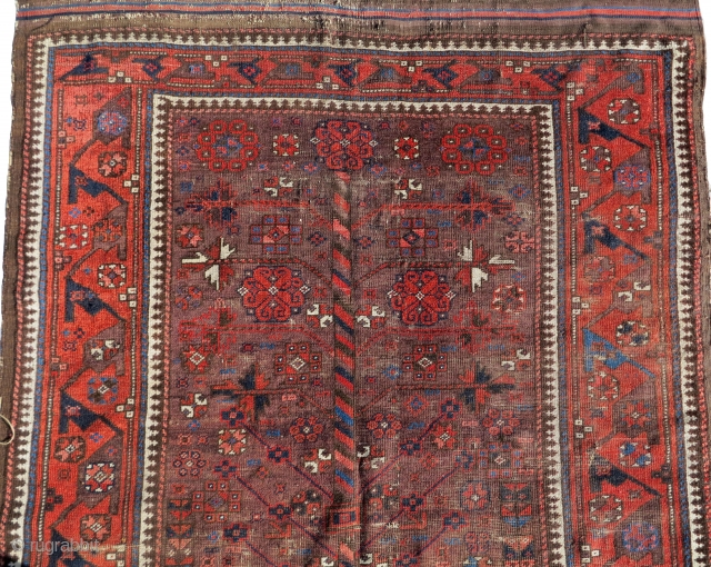 Iconic Khorosan Baluch tree rug on a brown ground with an older Timuri border type.                  