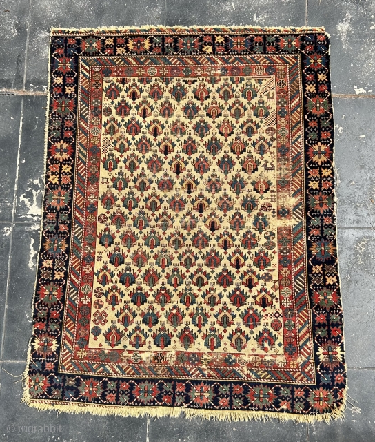 Beautiful early East caucasian rug from the first half of the 19th century. Missing outer border all around.               