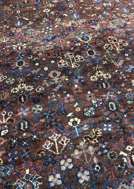 Lovely little khamseh. Circa 1900 or so. Super charming field design with little pops of color. All original in excellent condition. 5’3” x 4’2”. Email me at noah@bbolour.com.     