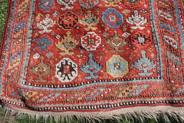 Wonderful East Anatolian Kurdisch rug circa 1900
brulliant shiny colors glassy wool good condition.
Size: 300x145cm                   