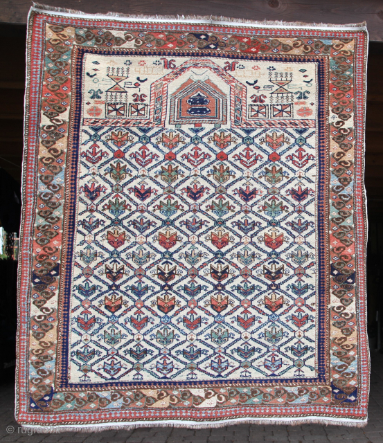 Shirvan prayer rug Caucasus 19th century, very fine knotting beautiful colors,
Very good condition considering its age.
Size: 130x112cm Price: 1550€