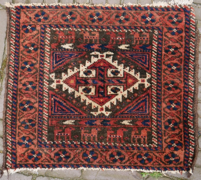 Baluch bagface with lots of goats. Good pile, good colours. wool on cotton. 61 x 53 cm                