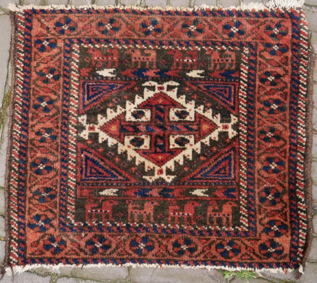 Baluch bagface with lots of goats. Good pile, good colours. wool on cotton. 61 x 53 cm                
