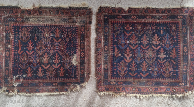 Pair of Baluch 'Timuri' shrub bags                           