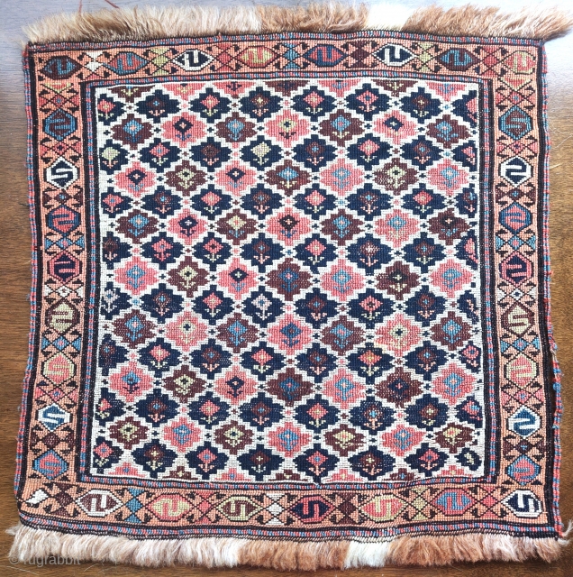 Shahsevan reverse sumak bagface, aksu/shrub variant design with great color range including, oxblood, 3 blues, rose, pistachio, but also a tad of fuchsine. Priced accordingly, apx 20"x20"      