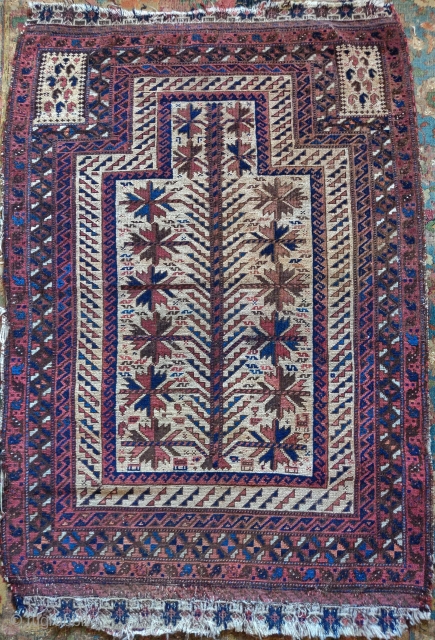 Small Baluch prayer rug. Several features more typically associated with 'Timuri' varriants but with a camel instead of a blue ground. Nice flatwoven email. Some staining in the top right field. Nice  ...