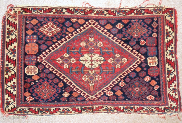 Afshar bagface, great color, wool, and handle                          