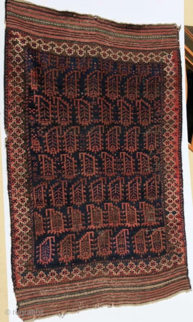 Timuri type Baluch rug with 'scorpion' boteh field and a border more typically seen in flat weaves. Very moody. Larger than most scatter rugs, great handle.       
