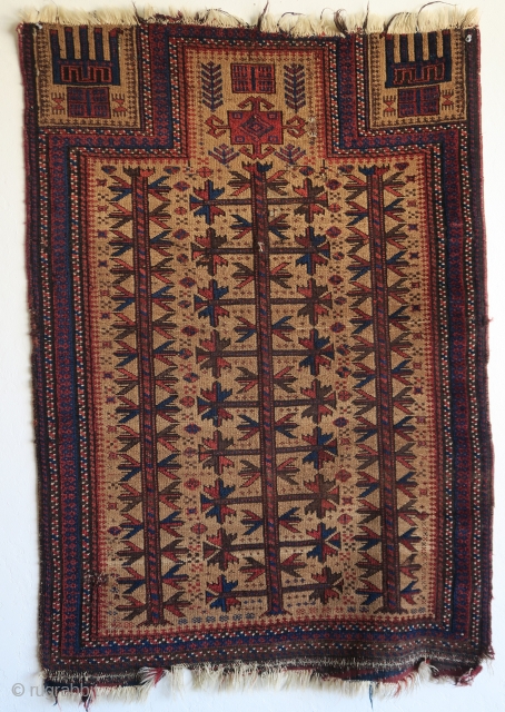 small camel-ground Baluch prayer rug with nice spacing and great stylized hands. size= 2'8"x3'8"                   