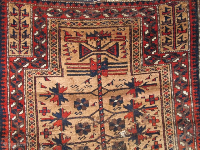 Baluch Camel Ground Prayer Rug, fantastically soft wool (just ask the moths!) saturated madder red. Great tactile quality. Good drawing with interesting asymmetries. This is a former Basha piece.
    