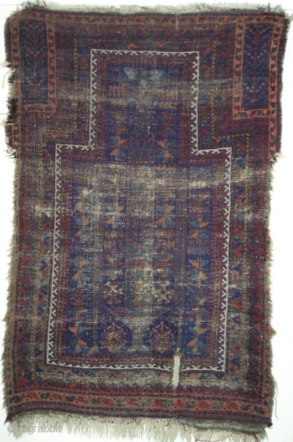 blitzed blue-ground Baluch prayer rug with a green tree in the field                     