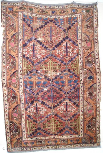 Kurdish ( Saj Bulaq? ) shrub rug with oscillating lattices radiating from rosettes framing 5 varieties of flowering plants stemming from pots. Exceptional borders with what is conservatively, in my opinion, an  ...