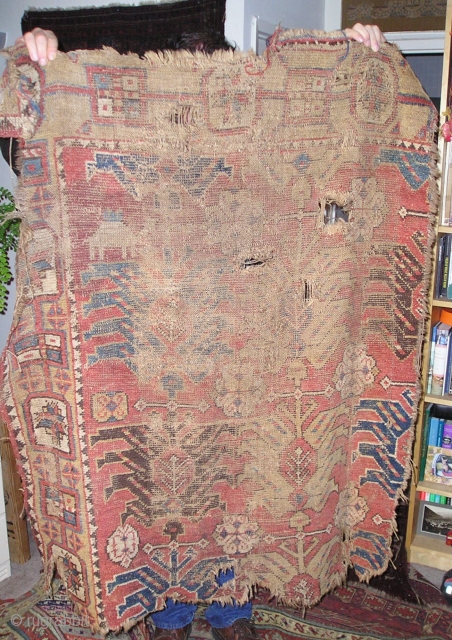 Mystery Rug Fragment, a sub-group from the so-called 'Golden Triangle' area group of rugs most frequently found in Tibet. Perhaps a 17th century Caucasian or Northwest Persian fragment. Dig the camels. Less  ...