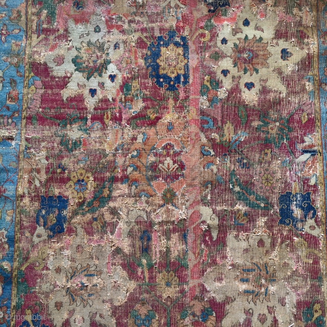 Detail from an early (Jufti knotted type) Herat / Khorasan carpet. Safavid era, circa 1600.                  