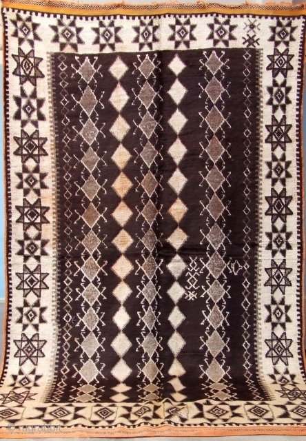 Rf 41-Berber rug ( Ait Znaga north ), natural wool colour in black-white, 255 x 150 cm, circa 1960s.              