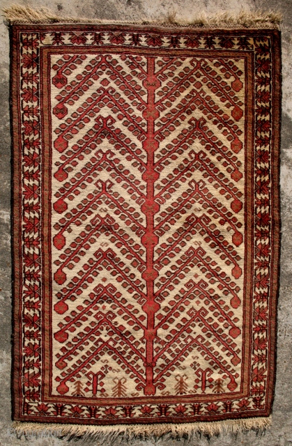 A Pomegranate Tree-of-Life prayer rug from East Turkestan - Uyghur. 1900. Excellent condition. 53 x 34 inches.                